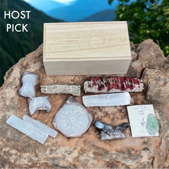 NWOT Artisan Not So Mystery Wooden Crystal Storage Box & Crystals - Picture 1 of 9